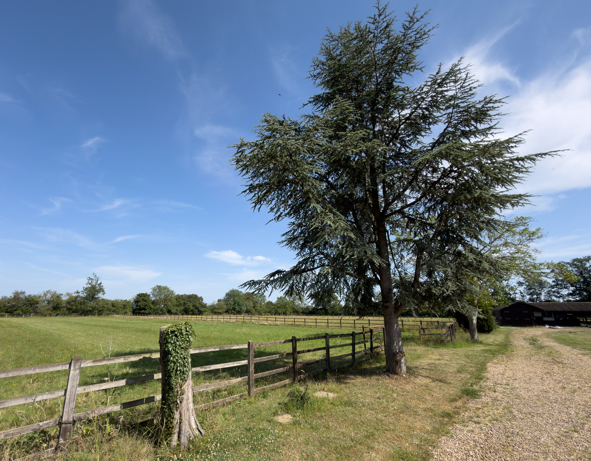 The lane to Greenfields
