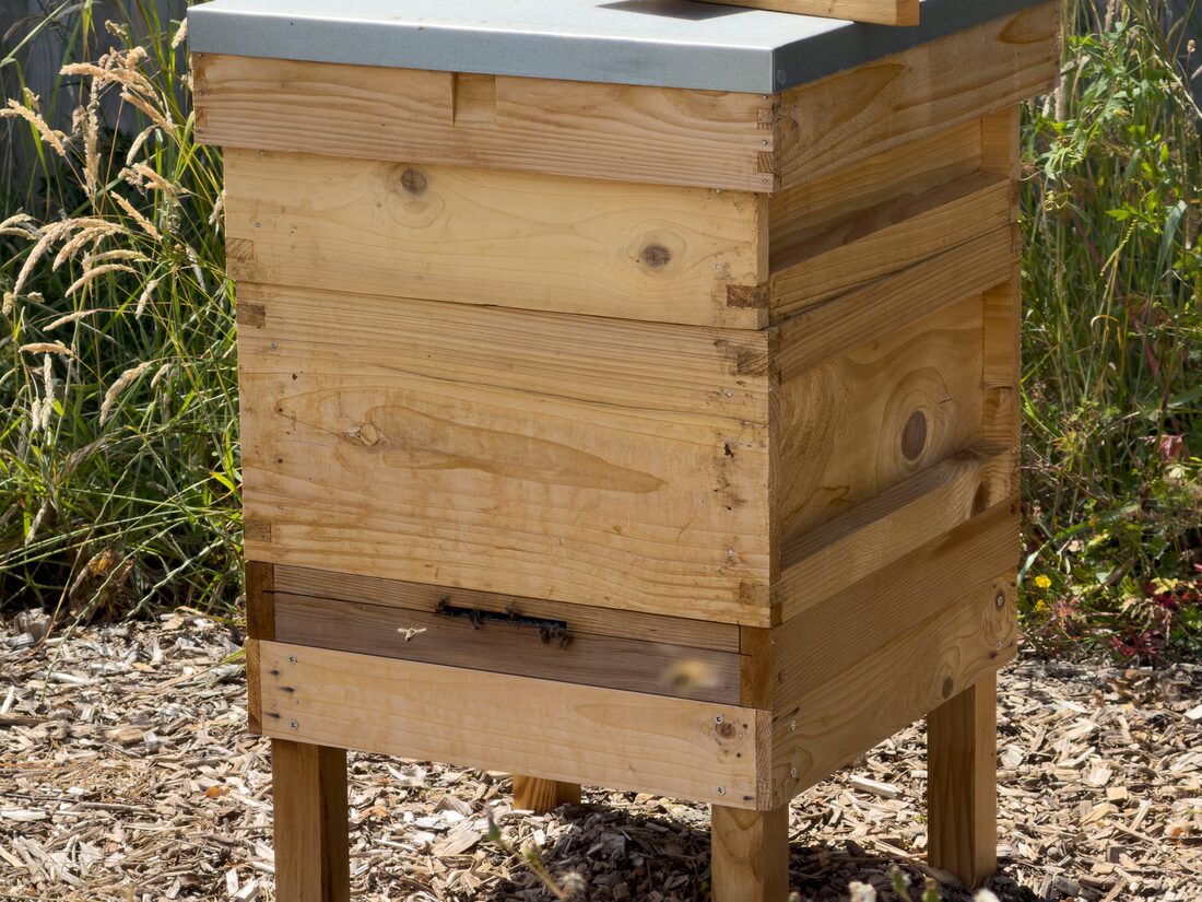 Raw Norfolk honey