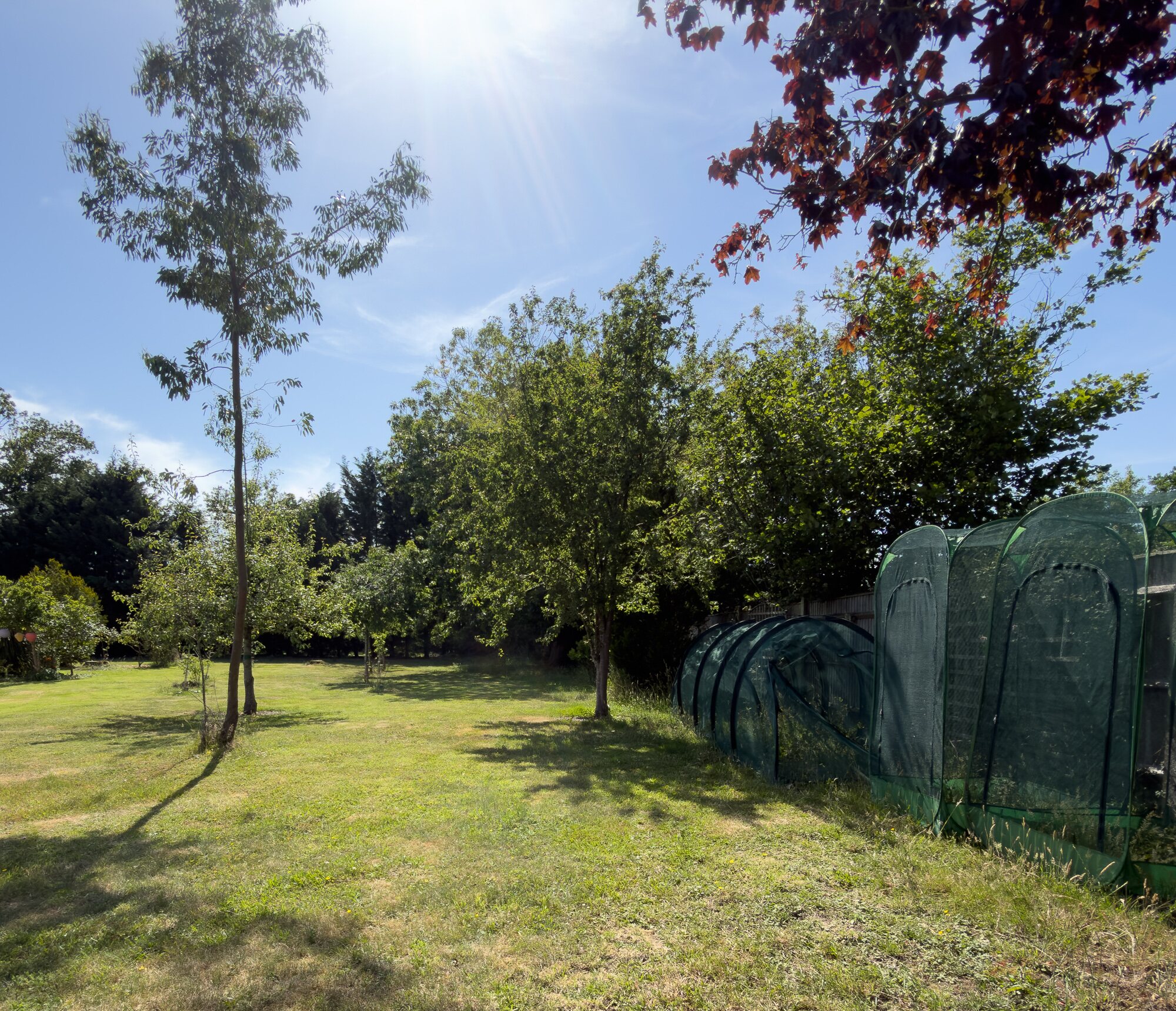 The kitchen garden