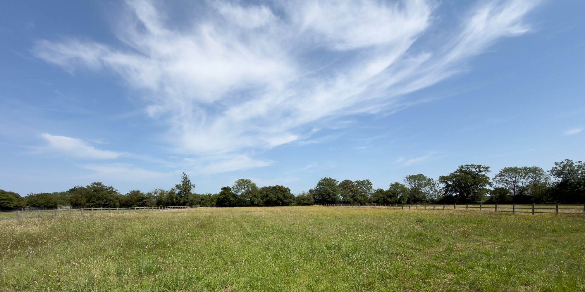 The Greenfields fields in Norfolk